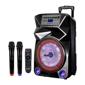 KARAOKE ZVOČNIK DANZA XP8812