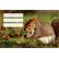 Etikete za zvezke ANIMALS WILD 10/1 - Image 3