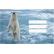 Etikete za zvezke ANIMALS WILD 10/1 - Image 9