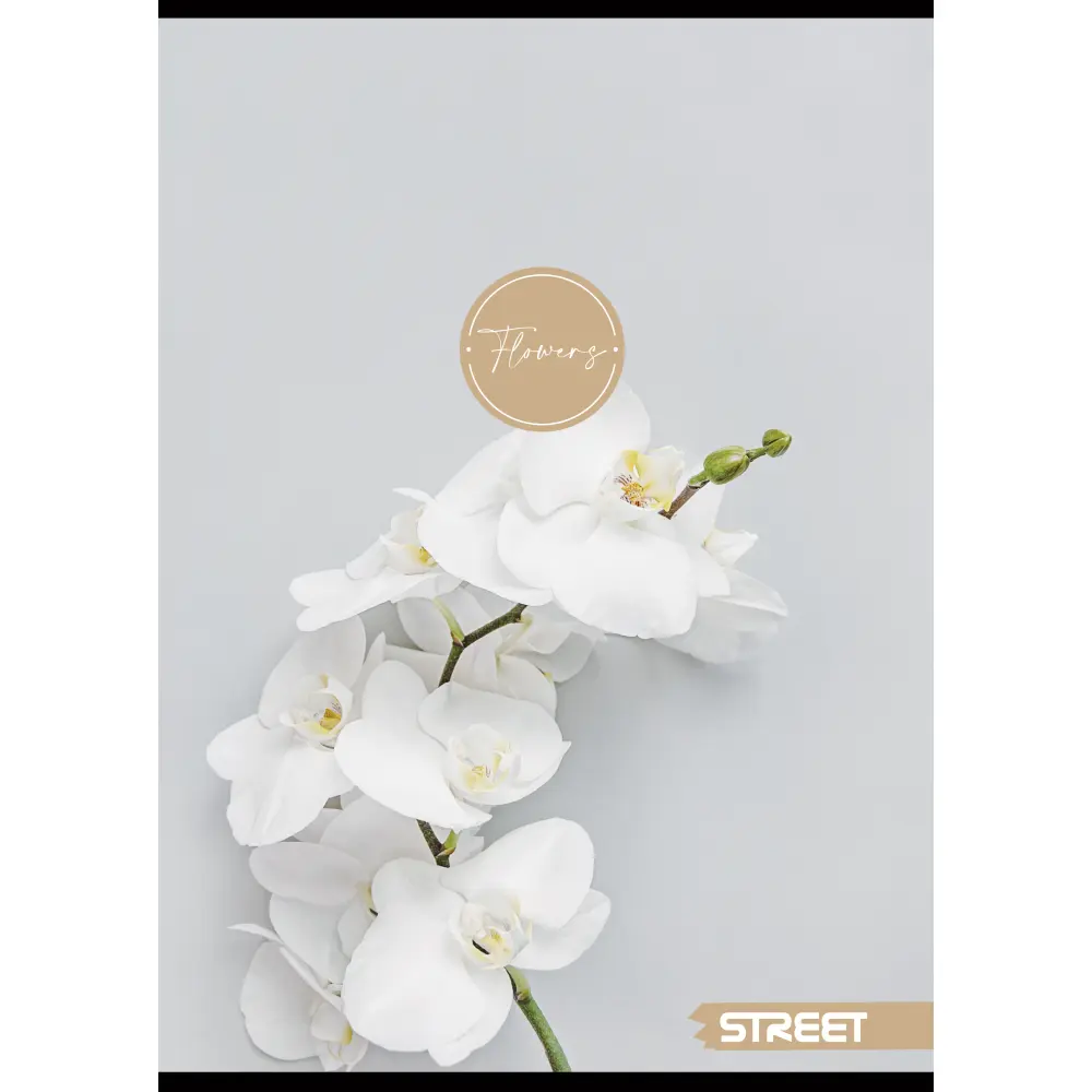 Zvezek Street Flowers A4 mali karo, 65701 - Image 6