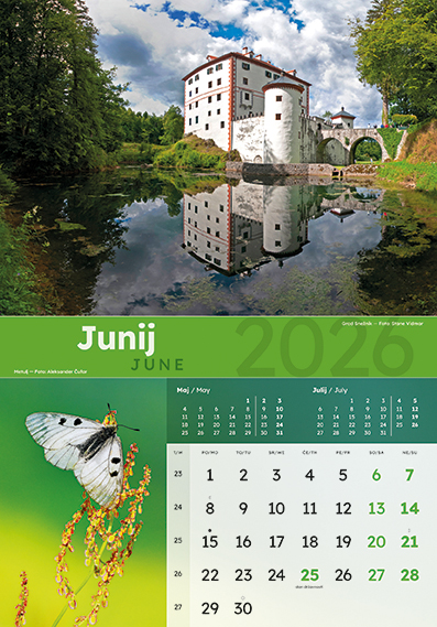 KOLEDAR DOBRO JUTRO SLOVENIJA 2026, MED - Image 7