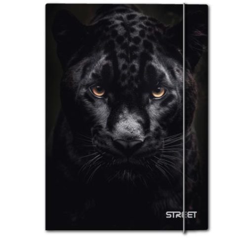 large-65748